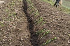 IMG_20251025_093843830_HDR-scaled