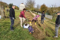 IMG_20251025_102553126_HDR-scaled